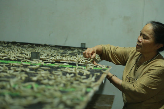 Exploring the diverse world of Silk